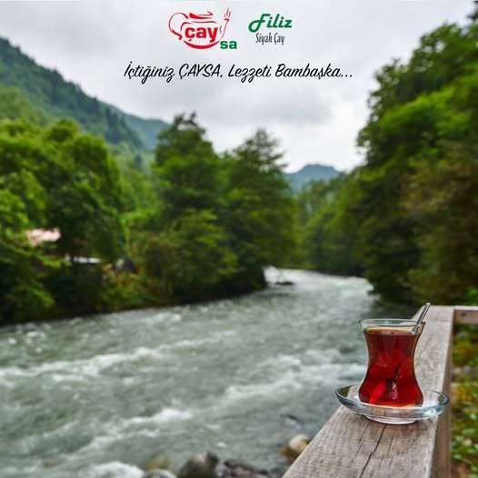 Tadım için demlenen çayın renk ve berraklık kontrolü