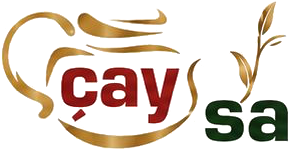 Çaysa Filiz Çay
